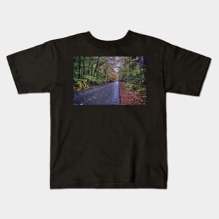 Road Through Autumn Kids T-Shirt